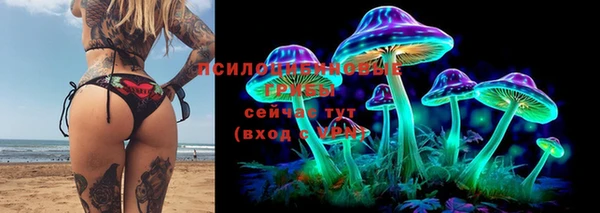 соль ск Алексеевка