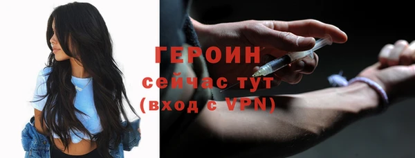 гидра Арсеньев