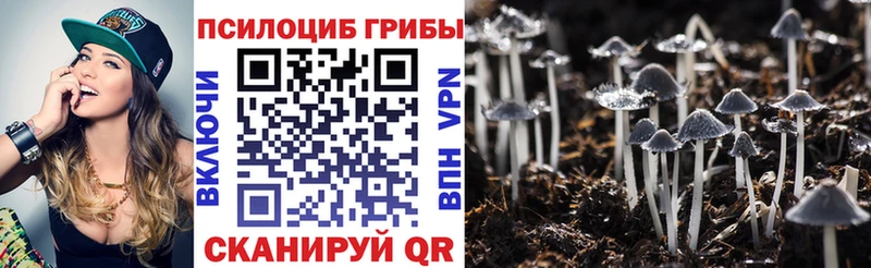 наркошоп Полесск мега ссылка Псилоцибиновые грибы мухоморы